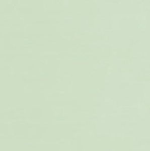 Meet your Posher, Aileen